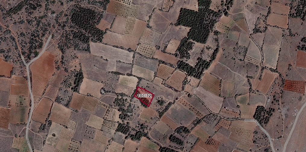 Fotoğraf